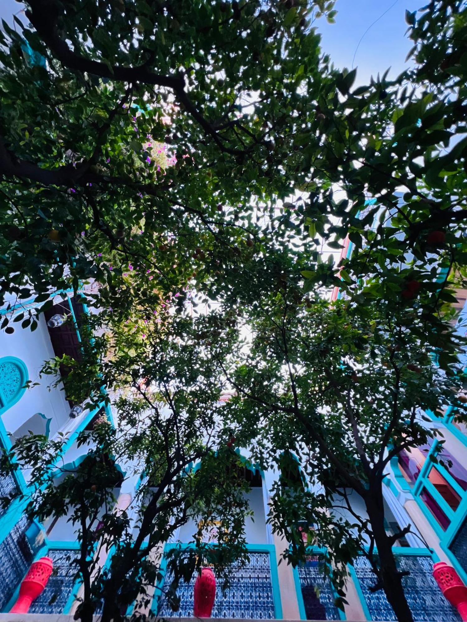 Riad Al Nour Marrakesh Ngoại thất bức ảnh